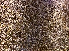 -真枪会射击俱乐部(河西中央公园店)