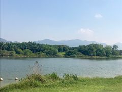 -飞来湖湿地公园