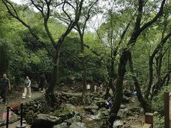-茶人谷-东海大峡谷