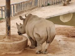 -泉州海丝野生动物世界
