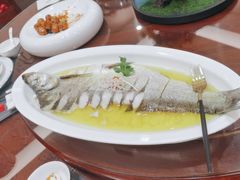 -鲁宴·鲁煨黄河生态大鲤鱼(月坛店)