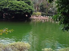 -九龙公园