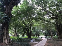 -南宁南湖公园