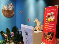 -猫先生时尚火锅(桂平路店)