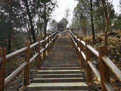 -白水寺森林公园
