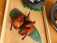 -广州富力君悦大酒店空中花园