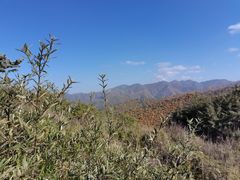 -云顶山风景区