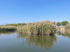 -野鸭湖国家湿地公园