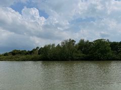 -东寨港红树林旅游区