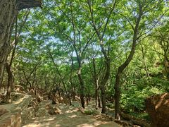 -山叶口景区