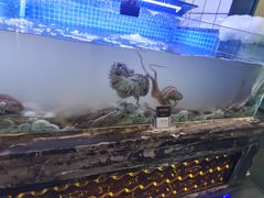 -渔民船说·北塘海鲜·天津菜·海肠捞饭(北塘古镇店)