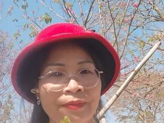 -天适樱花悠乐园