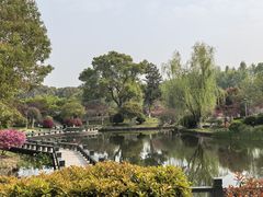 -花溪公园