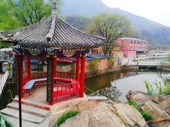 -双新垂钓园