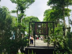 -瑞穗牧场