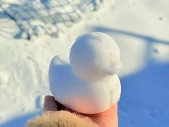 -绿野森林乐园冰雪季