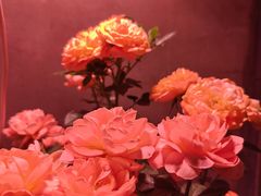 -琥珀老六龙虾(四里河店)