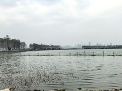 -东湖落雁景区