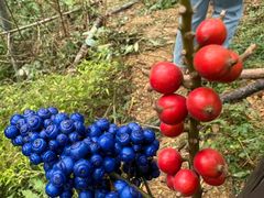 -老街鱼嘴巴(坡子街老店)