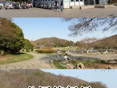 -南山渔宴