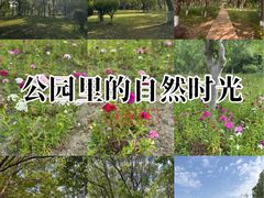 -九科绿洲