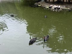 -黔灵山公园
