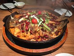 -老板恋上鱼(印象城店)