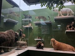 -国家自然博物馆