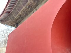 -北陵公园