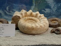 -大同煤炭博物馆