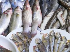 -威海九禧海鲜居渔水饺(经区店)