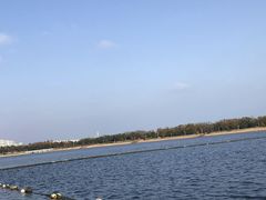 -日照灯塔风景区