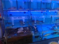 -有藕有鱼·湖北菜(唐家墩店)