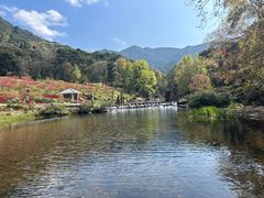 -广州市石门国家森林公园