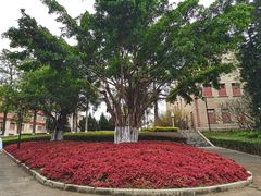 -厦门大学(思明校区)