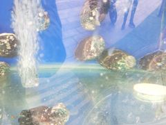 -京秀缘蒸汽海鲜农家菜大馅蒸饺