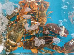 清蒸大龙虾-87号烧烤海鲜·大排档(金沙滩店)