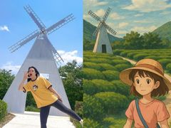 -杭州湾海上花田景区