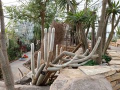 -北京植物园-展览温室
