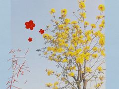 -广州长隆飞鸟乐园