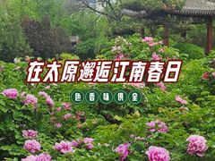 -迎泽公园