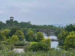 -张坝桂圆林公园