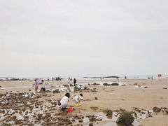 -刘家湾赶海园