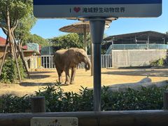 -常州淹城野生动物世界