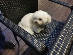 -荷风细雨·中国茶宴(碧云店)