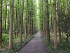 -上海怡沁园度假酒店