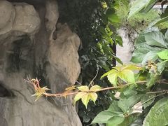 -李叔同故居纪念馆