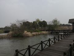 -梁鸿国家湿地公园
