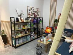 -山宅一喵德文卷毛猫舍
