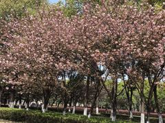 -南京奥林匹克体育中心